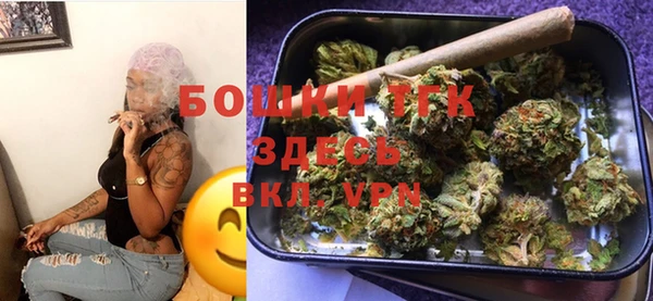 тгк Переславль-Залесский