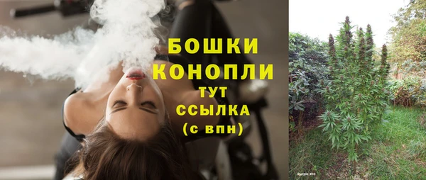 метадон Пересвет