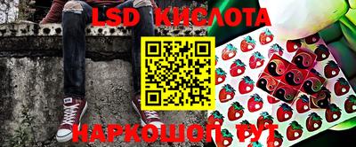 гидропоника Гатчина