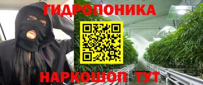 твердый Гай