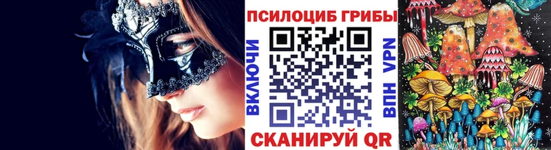 продажа наркотиков  Клин  Псилоцибиновые грибы MAGIC MUSHROOMS 