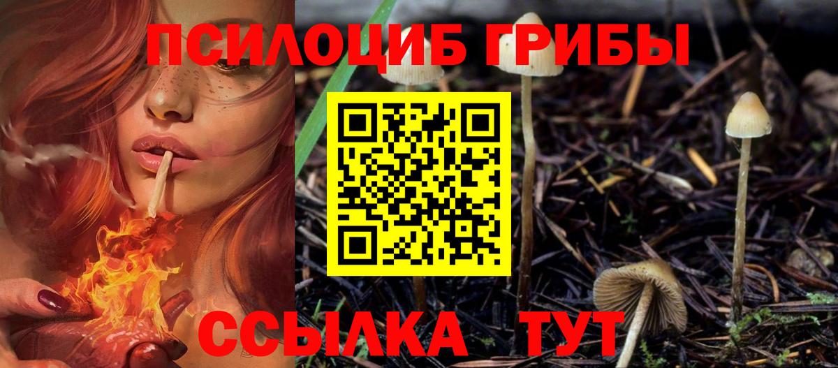 Галлюциногенные грибы Magic Shrooms Клин