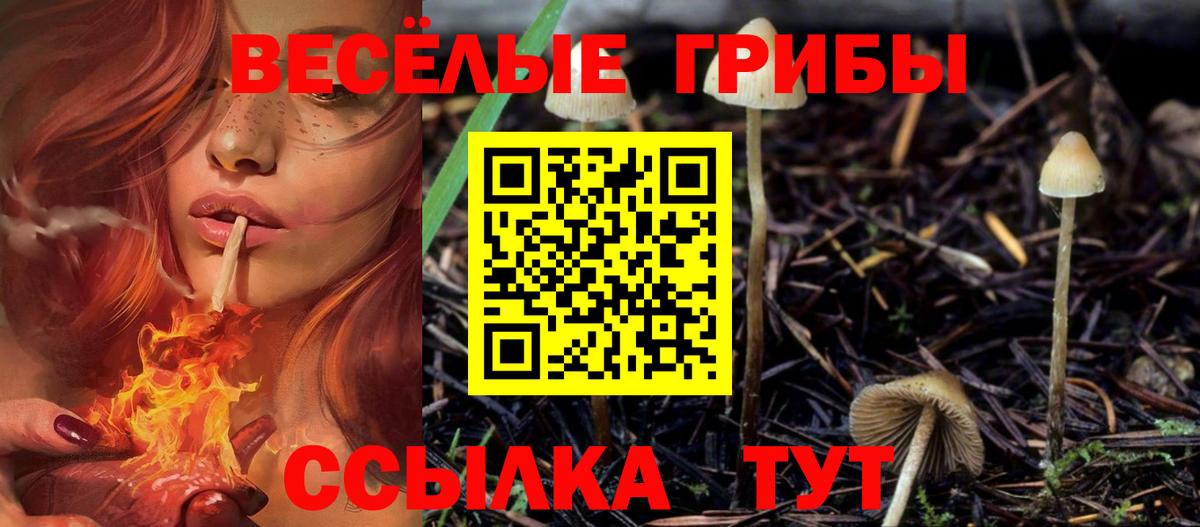Галлюциногенные грибы GOLDEN TEACHER  Клин  Псилоцибиновые грибы мухоморы 
